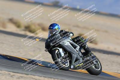 media/Jan-14-2024-SoCal Trackdays (Sun) [[2e55ec21a6]]/Turn 4 Tree of Life (155pm)/